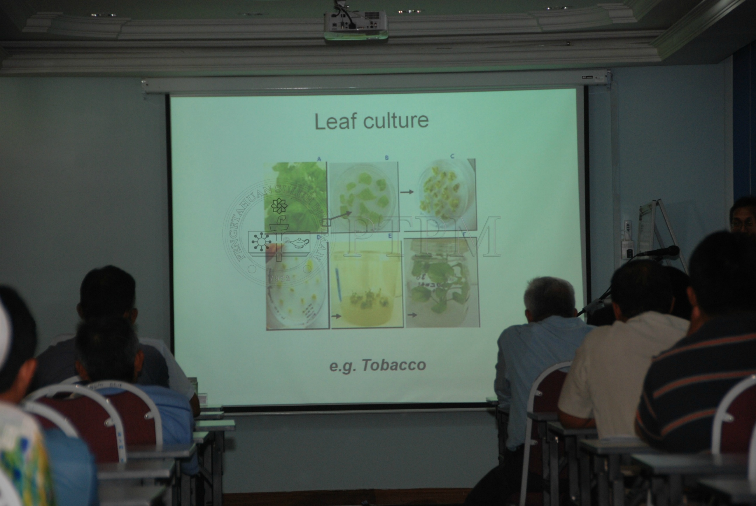 PTPM 12 3 PLANT   DSC 5453